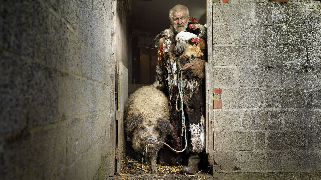 Lucy, 2018, lightbox, 400 x 600 cm, © Koen Vanmechelen.

