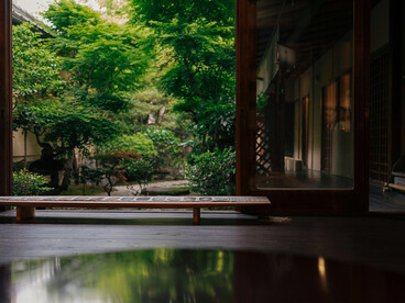 A framed garden sanctuary within the home, symbolising the essence of architectural thresholds as moments of transition