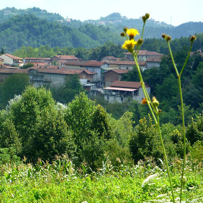Scorcio con fiori della cittadina di Aramengo in provincia di Asti (Gianluigi Faletti)