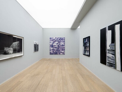 Grayscale, installation view. Courtesy of the artist/Simon Lee Gallery