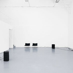 Diana Thater, The conversation, exhibition view. Courtesy of Galerie Hussenot