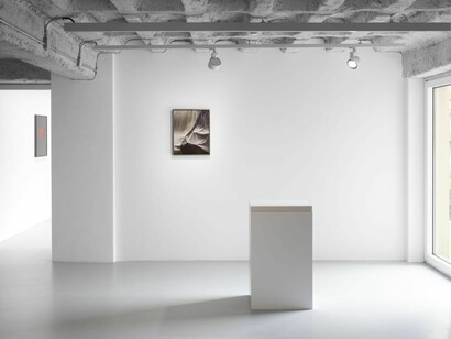 Anca Munteanu Rimnic, Treatise on Bruises, ausstellungsansicht. Mit freundlicher genehmigung der Galerie Plan B