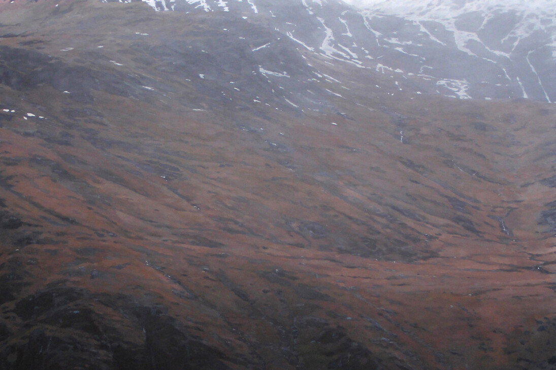 Gallt y Wenallt, Oil on canvas 2014 200 x 185 cm. Detail