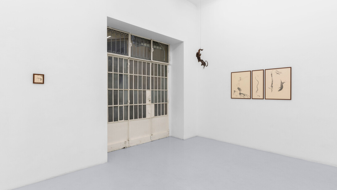 Matilde Sambo, Presentimento, vista della mostra. Per gentile concessione di Renata Fabbri