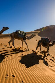 Sahara desert