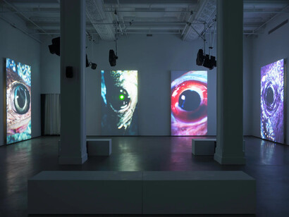 Jakob Kudsk Steensen, Otherworlds, exhibition view. Courtesy of PHI