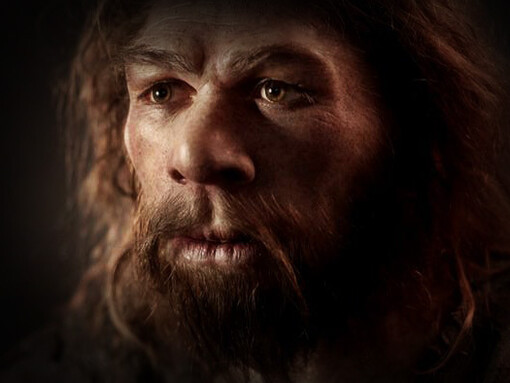 Representación de un hombre neandertal, antiguos habitante de las cuevas de Altamira