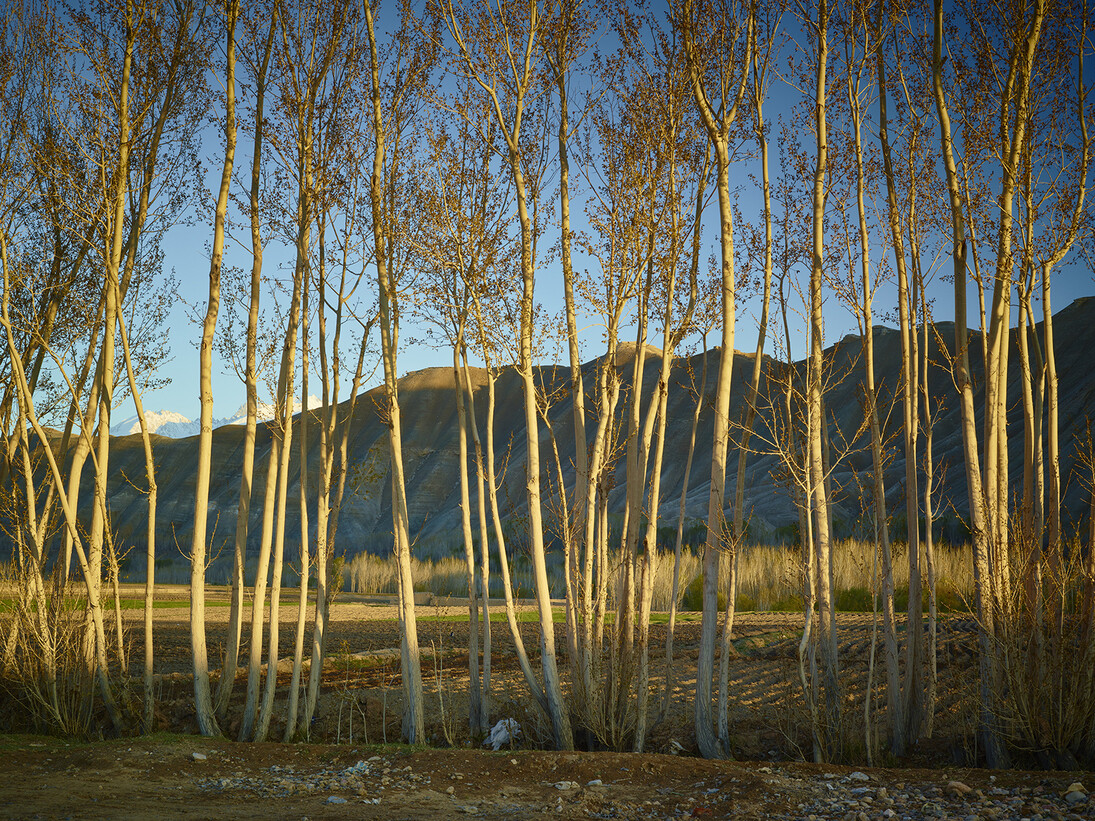 © Simon Norfolk, Time Taken 6, Late Spring, 2013-2014