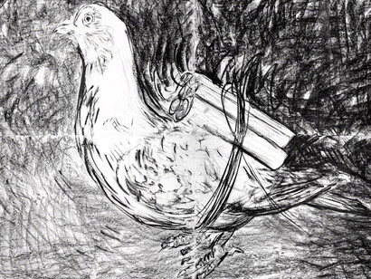 Adel Abdessemed, Pigeon, 2016. Courtesy of Cahiers d'Art