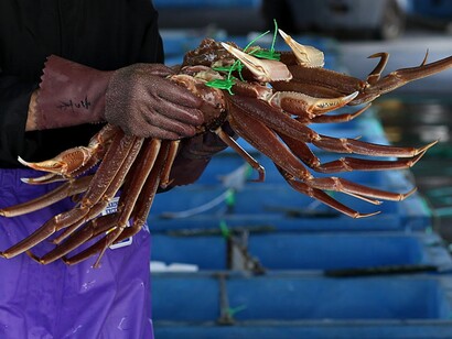 Pesca. Se le cancellazioni della pesca delle varie specie di granchi dovessero continuare, i danni per l'economia sarebbero molto pesanti