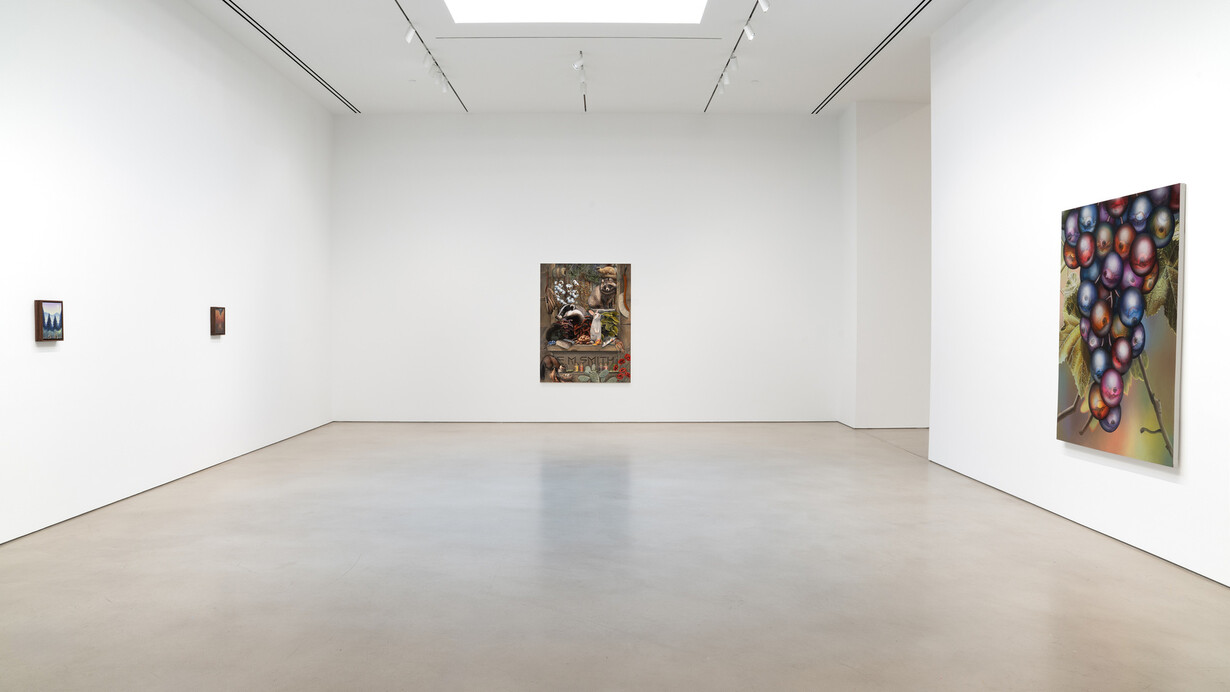 Emily Mae Smith, Transit of Venus, exhibition view. Courtesy of Petzel Gallery