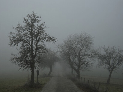 Paesaggio lombardo con nebbia