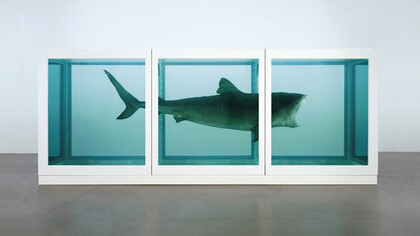 Damien Hirst, The Physical Impossibility of Death in the Mind of Someone Living, Ph. by Prudence Cuming Associates © Damien Hirst and Science Ltd.