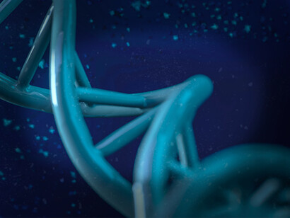 Estruturas biológicas. A Biologia Estrutural continua a evoluir