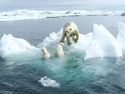 Desde el pasado mes de junio de 2019, se anunció que en Groenlandia se están desprendiendo grandes pedazos de hielo y que el proceso es irreversible