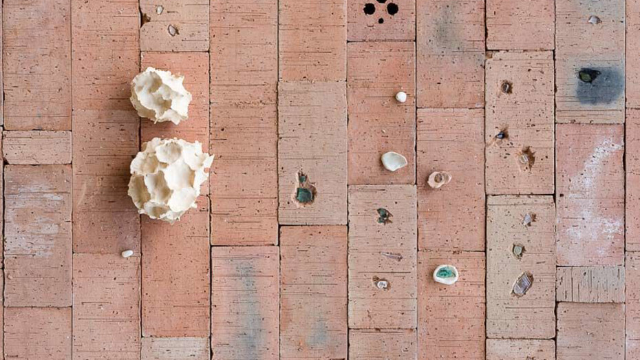 Kate Newby. Courtesy of Kunsthalle Wien