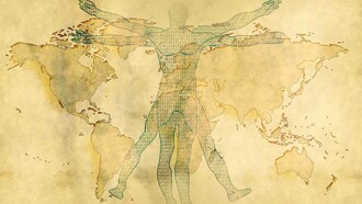 The Vitruvian Man in today's world