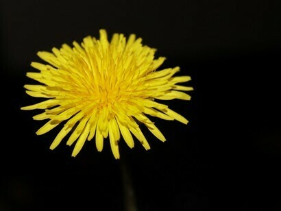 We live according to our past because what happens to us now is the result of the thoughts and beliefs of the past
