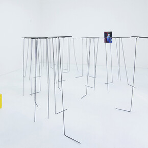 Valentýna Janů. Courtesy of National Gallery