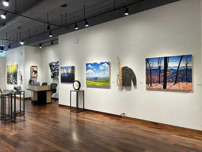 David Shingler, exhibition view. Courtesy of Momentum Gallery