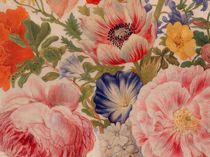 Maria Sibylla Merian. Courtesy of Kupferstichkabinett