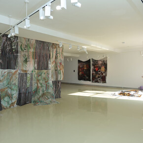Monali Meher, Walking root route, exhibition view. Courtesy of Latitude 28 Gallery
