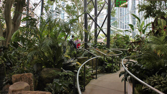 Located at Amazon’s Seattle headquarters, the Amazon Spheres are three interconnected glass conservatories designed by NBBJ and Site Workshop to integrate nature into the workplace