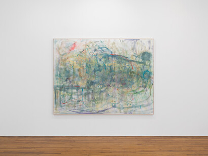Trevor Shimizu, exhibition view. Courtesy of 47 Canal 