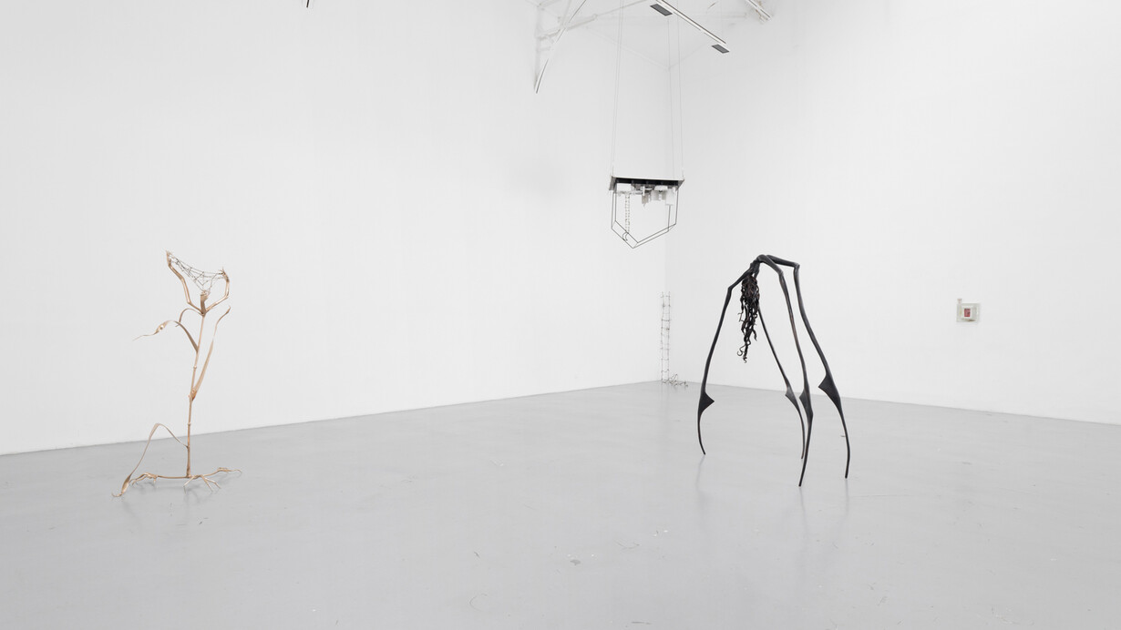 Apollinaria Broche, The unspoken rules of secret play, vue d'exposition. Avec l'aimable autorisation de la Galerie Hussenot