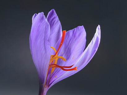 As we look around today and the layers of complexity that besieges our world, one naturally queries: What the heck happened?