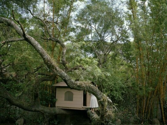 Kanako Sasaki,, As a Leaf, 2008, photography © Kanako Sasaki and APT Institute