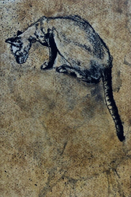 Heidi Wickham, Cat Looking, Charcoal on Paper, 26 x 26 cm
