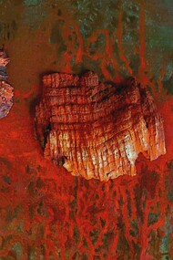 Silvia Canton, Mattanza, dettaglio, tecnica mista su tela più sughero, 50x50, 2019
