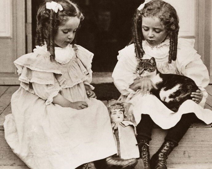 It’s Raining Cats and Dogs. Courtesy of MOHAI