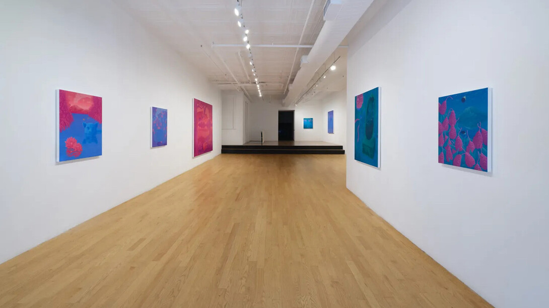 Anna Ortiz, Shapeshifter, exhibition view. Courtesy of Chart