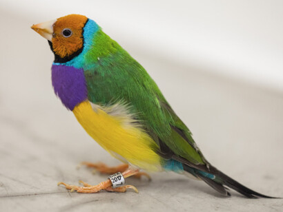 Zip'Up, Exhibition view. Courtesy of Zipper Galeria