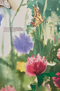 Loophole. Courtesy of Naturhistorisches Museum Basel