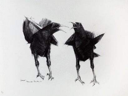 Terence Coventry, Choughs

