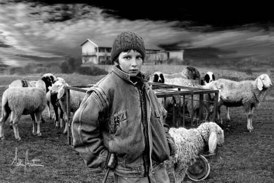 Lella Beretta, Gregge, Photographic Print on Canvas, 28" x 40"
