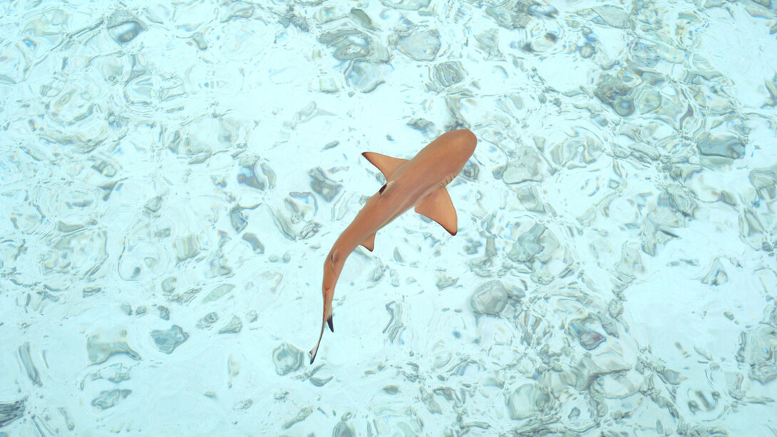 Jitka Hanzlová, Silent Blue #1, 2018 (from the series WATER 2013-2019), archival pigment print, 44 1/8x32 inches. Courtesy of the artist and Yancey Richardson Gallery, New York