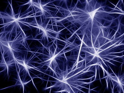 Le neuroscienze sono l’ultimo approdo della scienza riguardante la conoscenza del cervello