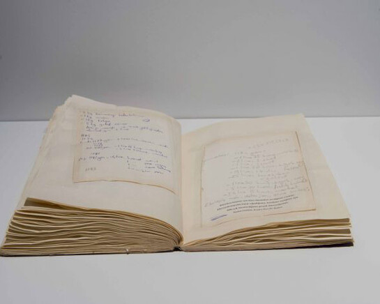 Diary of Defeats. Courtesy of Zilberman Gallery