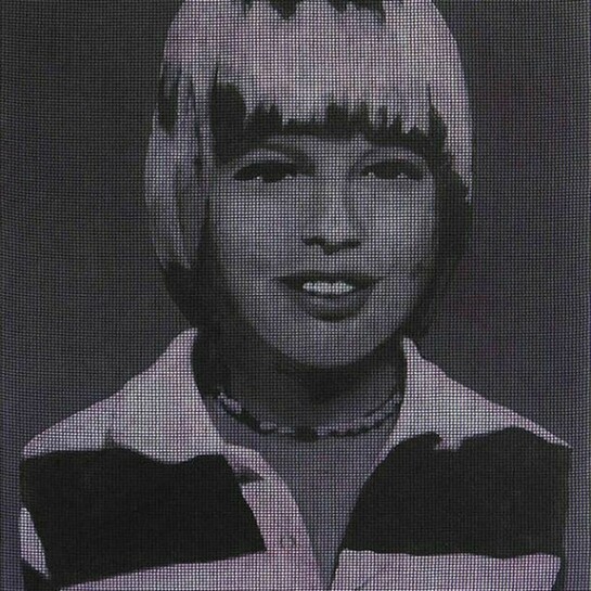 Tiong Ang, Pink Revelation (Portrait of Brad Pitt), 2014, acrylic, oil on canvas, veil, 60 x 40 cm, Courtesy LYNCH THAM