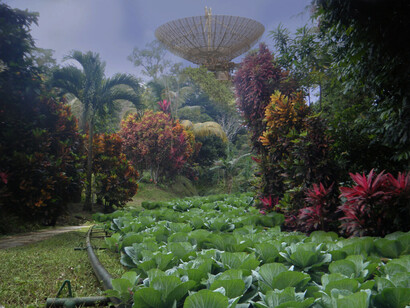 Maica Gugolati, Poder en el país de las maravillas