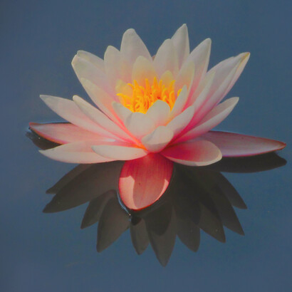 Calm: trivial upsets seem to be taking on more significance than they ever have before