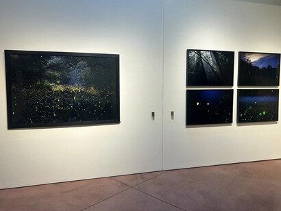 Kate Breakey and Samuel James, To the dark and the endless skies, exhibition view. Courtesy of Etherton Gallery