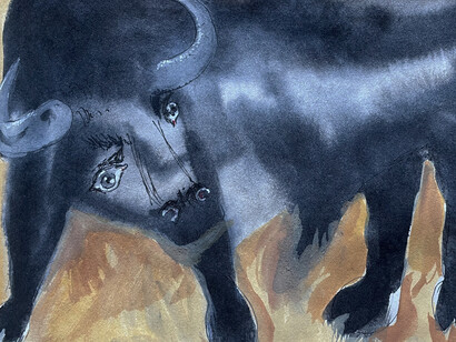 Il toro nell'arena