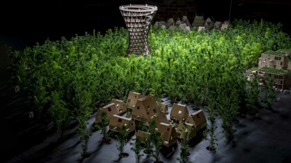 Biennale Architettura 2021, Padiglione della Danimarca, foto Marco Zorzanello