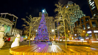 En Vancouver casi no nieva, pero sí hace frío y llueve mucho. Lo que más me sorprendió fue encontrarme con una ciudad completamente iluminada: luces de colores en cada esquina, árboles de Navidad por todas partes.
Encendido del árbol de Navidad en la Galería de Arte, 2017 Canada