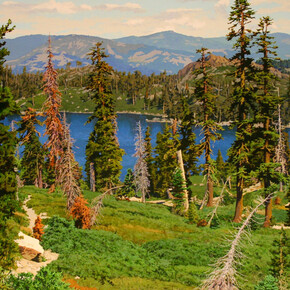 Peter Loftus, Trail above Silver Lake, 2006. Courtesy of Andra Norris Gallery 